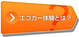 エコカー体験とは?